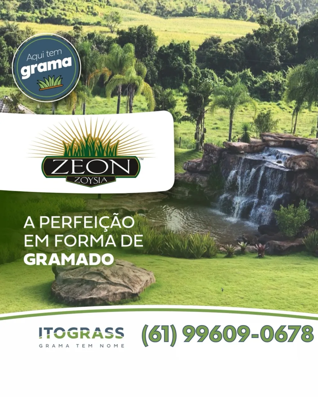 Grama Zeon - ITOGRASS