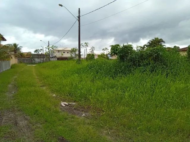 Terreno esquina em Ilha Comprida/550 m2, ideal para investidor/construção/150 mts da Praia - Foto 3