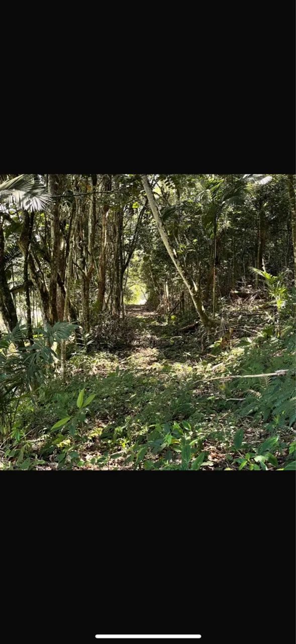 Exatamente sítio a venda ótimo preço  - Foto 2