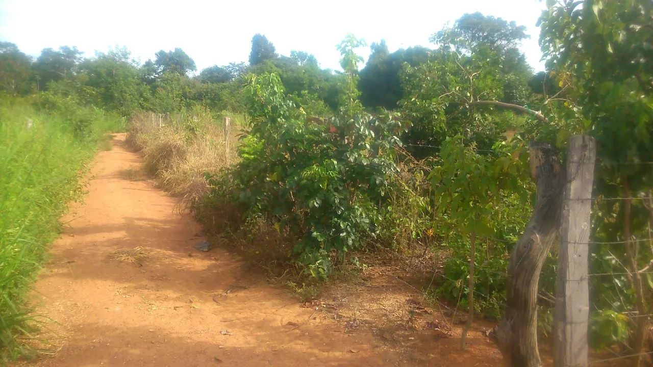 Excelente lote área urbana  Pé.Bernado   - Foto 2