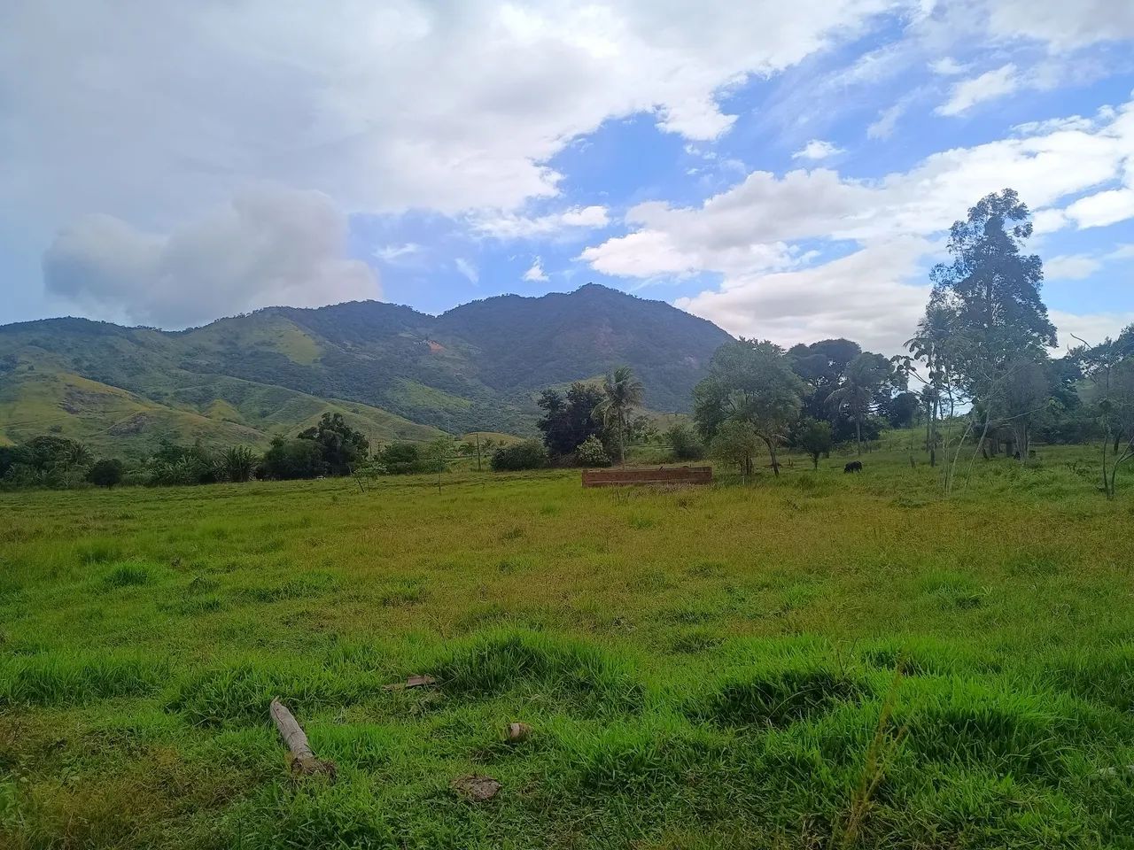 Foto - Rio Bonito - 