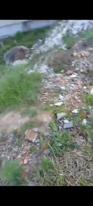 Terreno a venda na Barra do Sambaqui - Foto 4