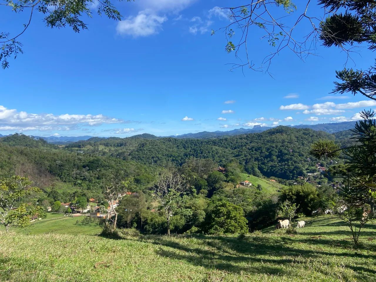 Foto - Santo Antônio do Pinhal - 