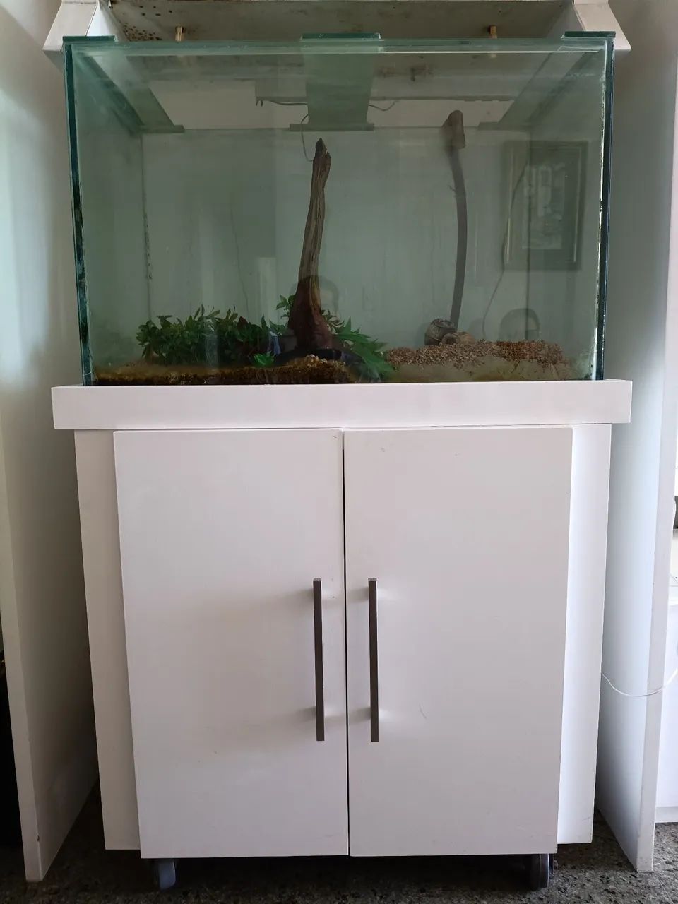 Aquário  160L (80x50x40)  ótimo estado com móvel 