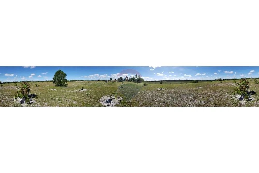 TERRENO (Fazenda em Piaçabuçu, AL - 687 ha) - Foto 13