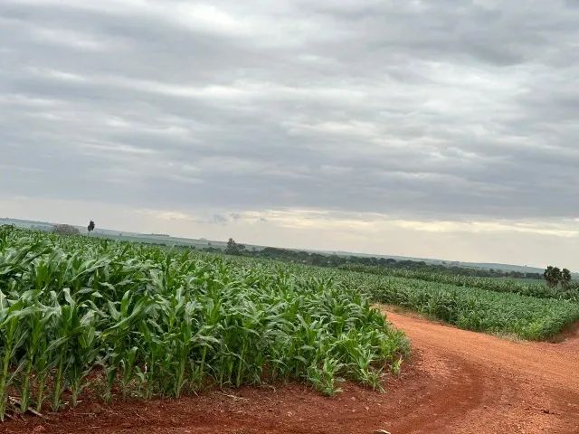 Vendo Imóvel rural-  SÍTIO em Andirá/PR