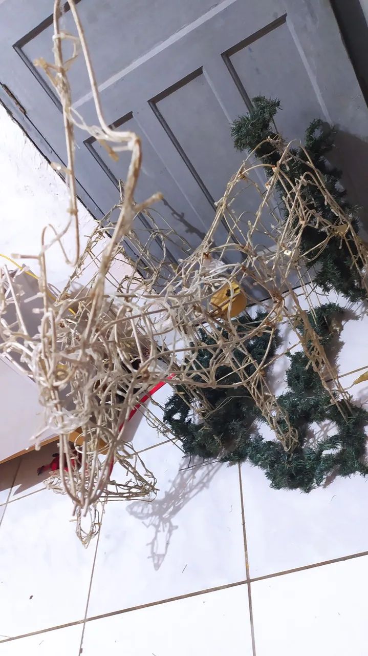 Renas de natal  - Foto 2