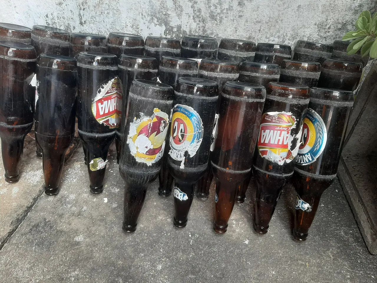 Vasilhame (cascos) de cerveja de 600ml - Foto 3