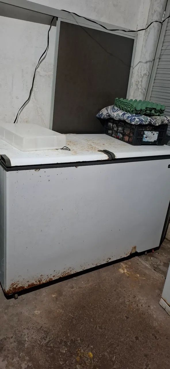 Máquina de cortar carne e 2 congelador - Foto 2