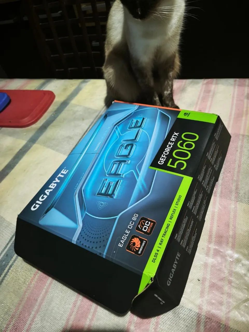 PLACA DE VIDEO RTX 5060 GIGABYTE EAGLE