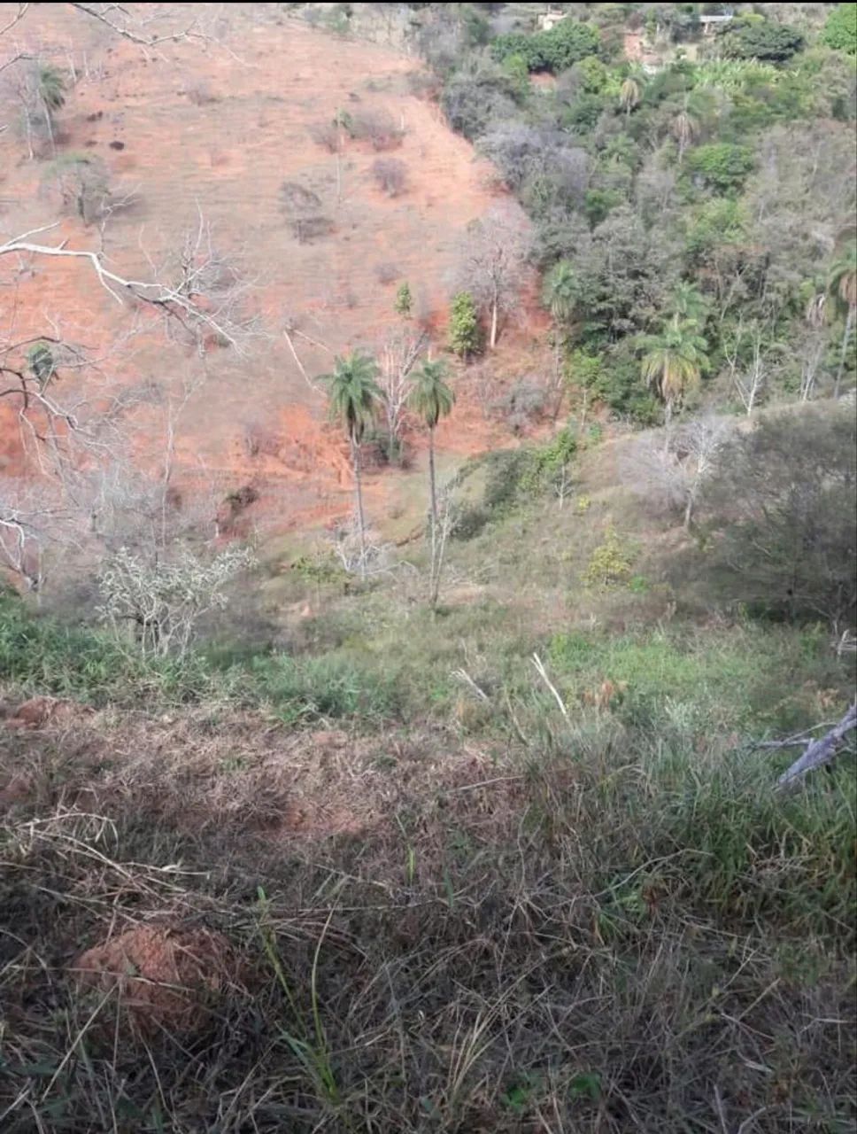 Chácara 3.000mtrs2 - Foto 2