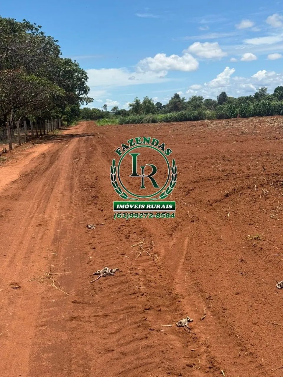 Chácara 6.000M² Projeto Prata Saída  Porto Nacional  - Foto 5