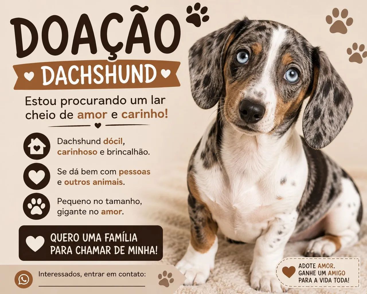 Doação Basset - (Salsicha)