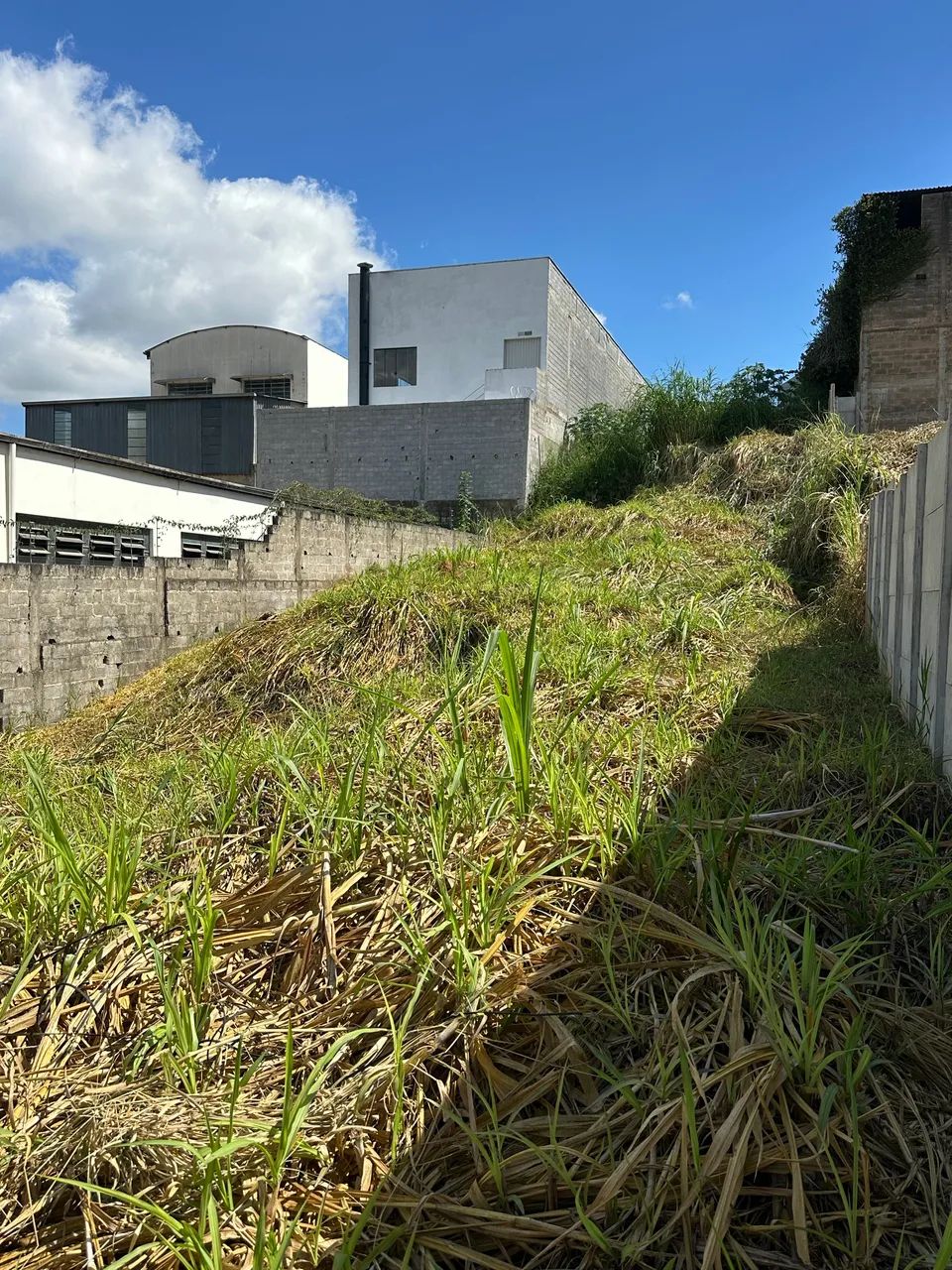 Terreno comercial ou residencial  - Foto 3