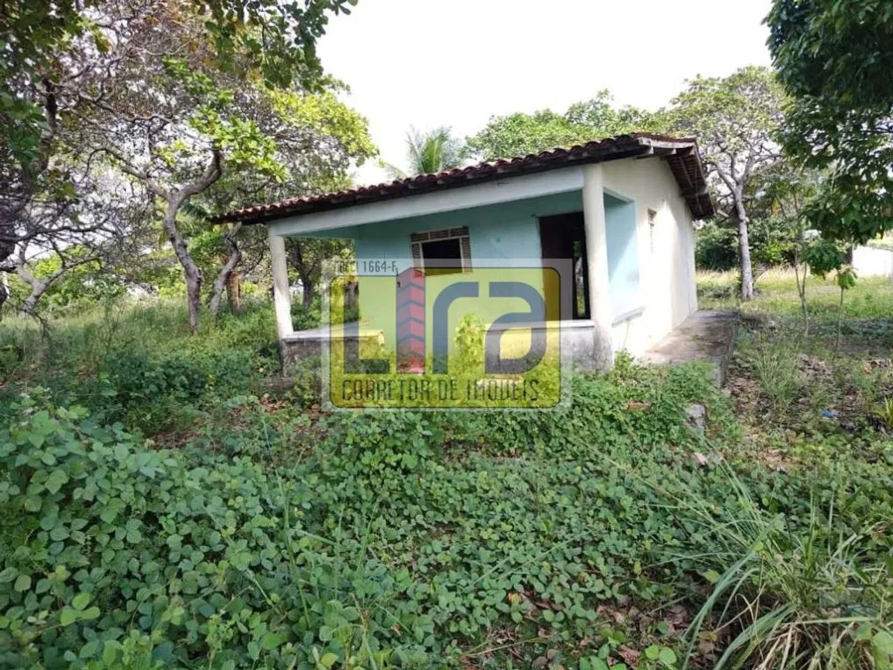 TERRENOS EM JACUMÃ, PERTO DA PB-008 - Foto 2