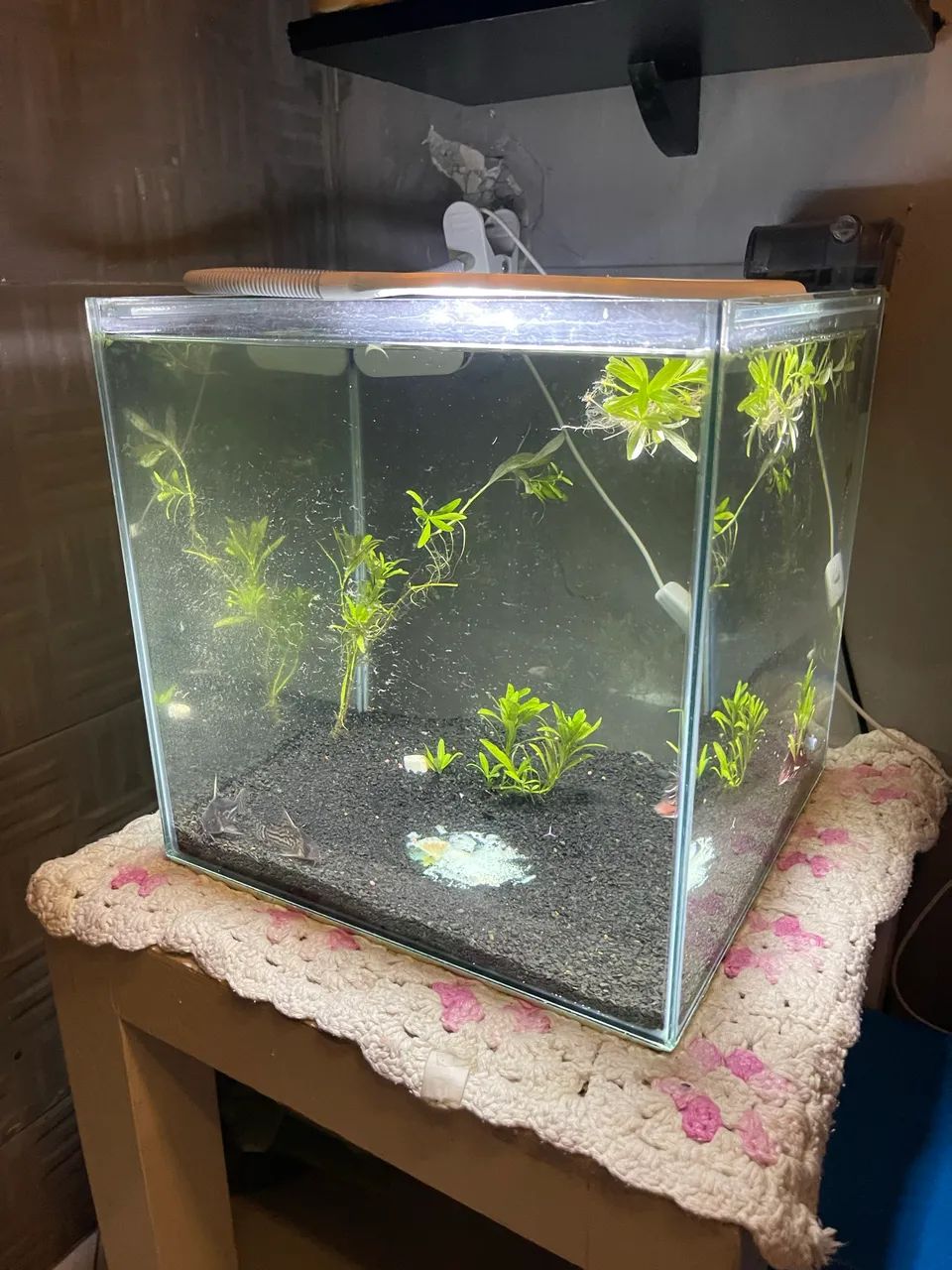 Aquário cubo 28 litros 