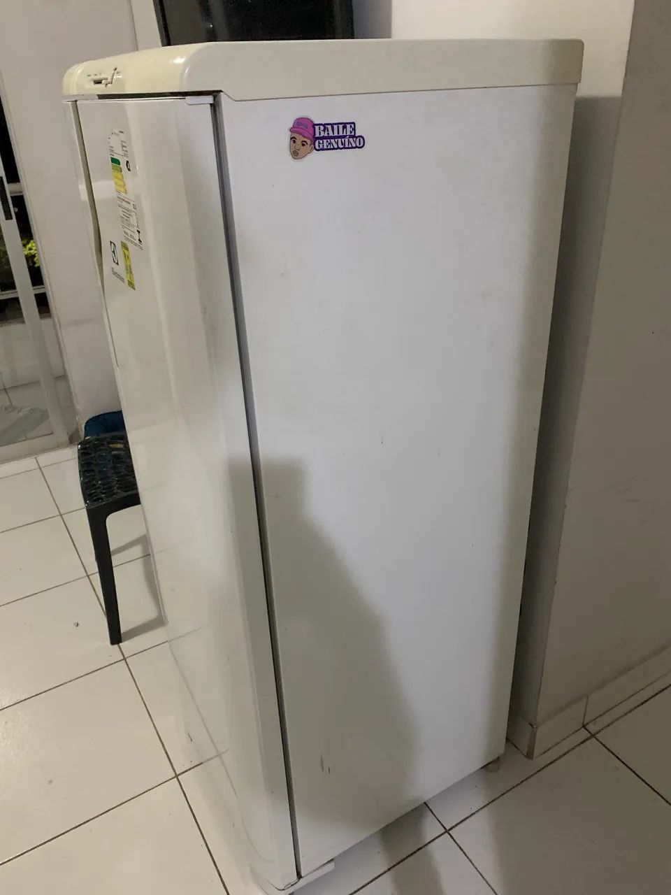 Geladeira usada Eletrolux 110v