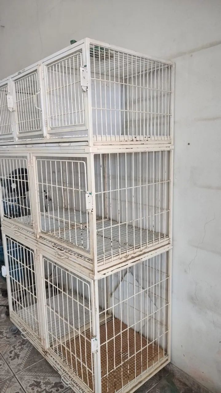 Soprador , secador e tesoura para pet  - Foto 4