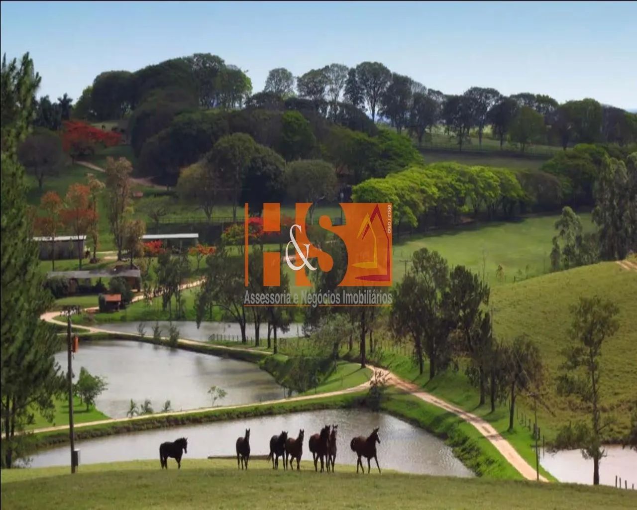 HARAS RURAL em Amparo - São Paulo, Centro - Foto 2