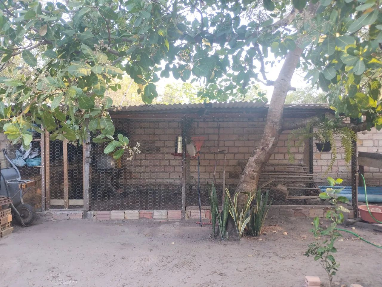 Vendo o imóvel no Campo Novo  - Foto 5