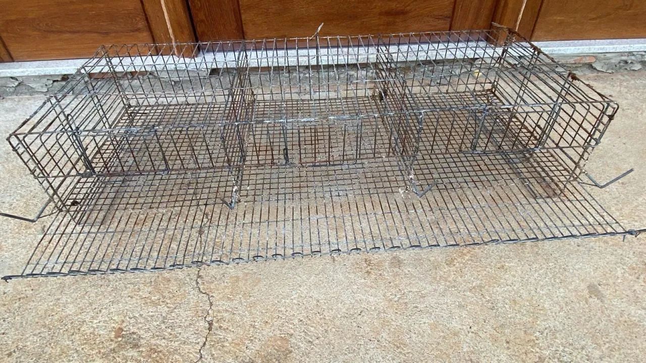 Gaiola para codornas  - Foto 2