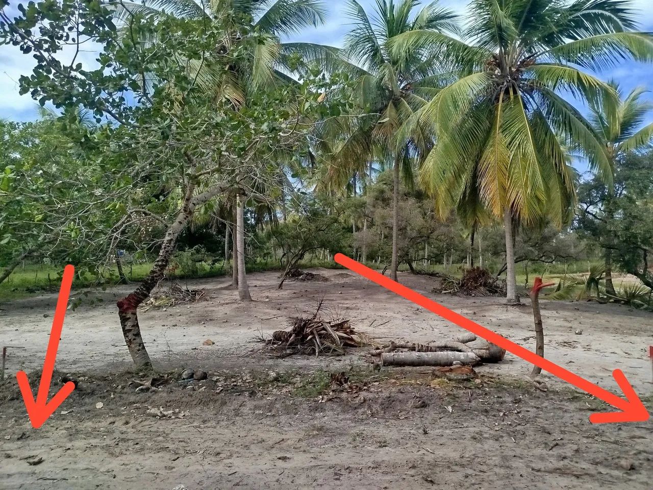 Terreno em lagoa redonda  - Foto 3