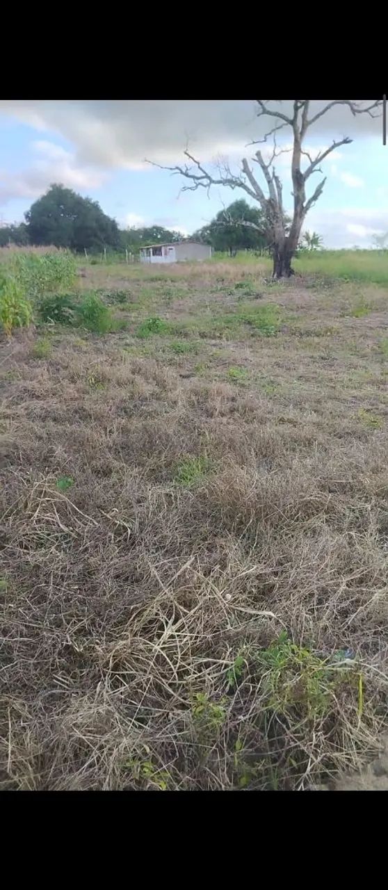 Vende-se terreno em limoeiro de Anadia 