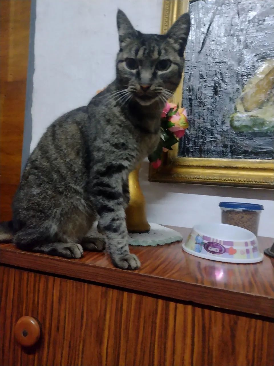 Filha de aluguel