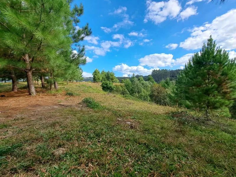 Lote rural DOUTOR PEDRINHO - SC - Foto 3