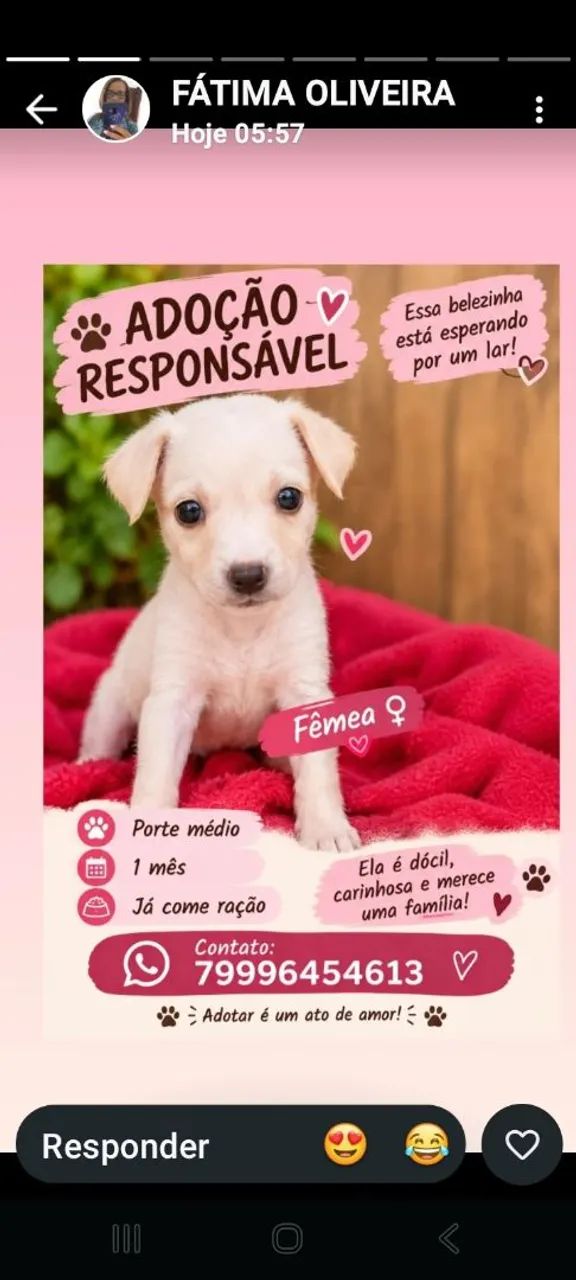 Belíssima Filhote!!!
