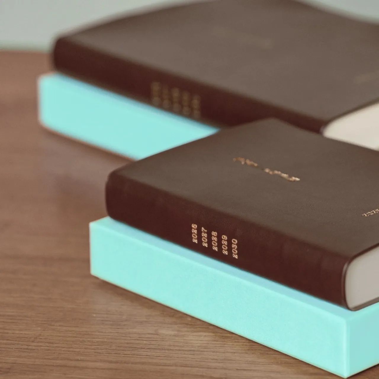 Hobonichi 5 anos caderno Techo - 5 years notebook (A5) 2026-2030