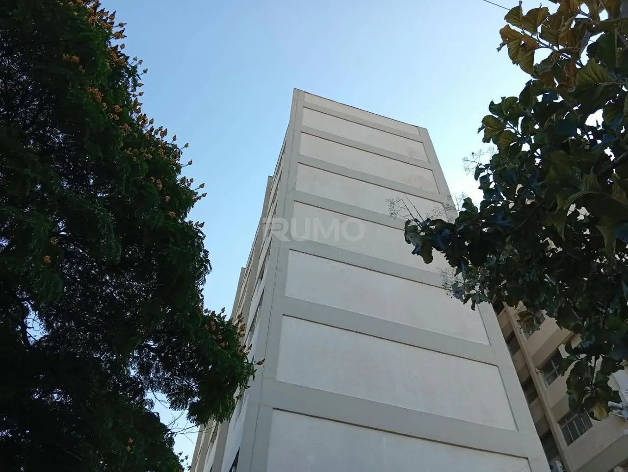 apartamento - Jardim do Trevo - Campinas