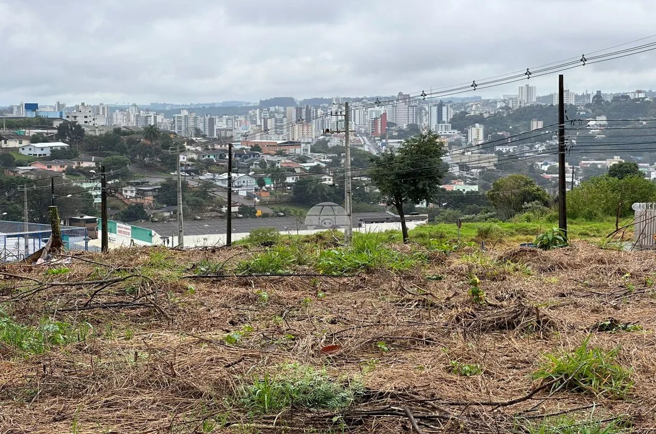 Vendas Terreno Pato Branco PR - Foto 2