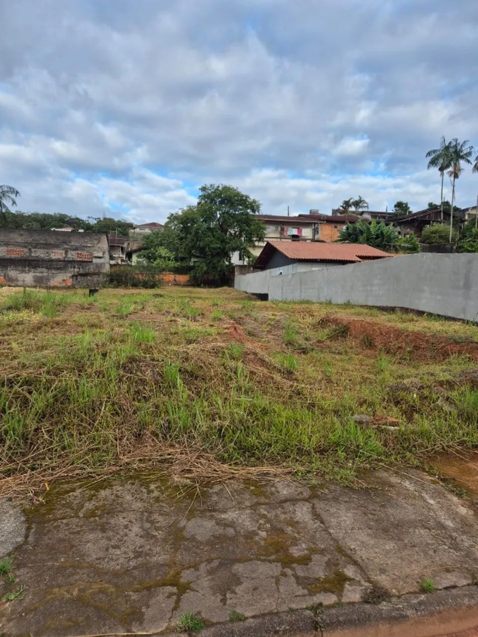 Foto - Joinville - Nova Brasília