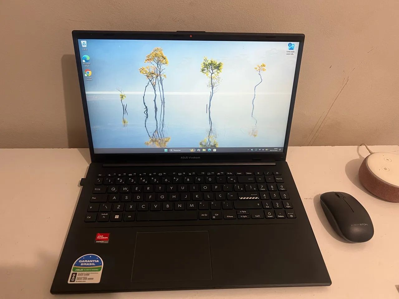 Asus Vivo Book