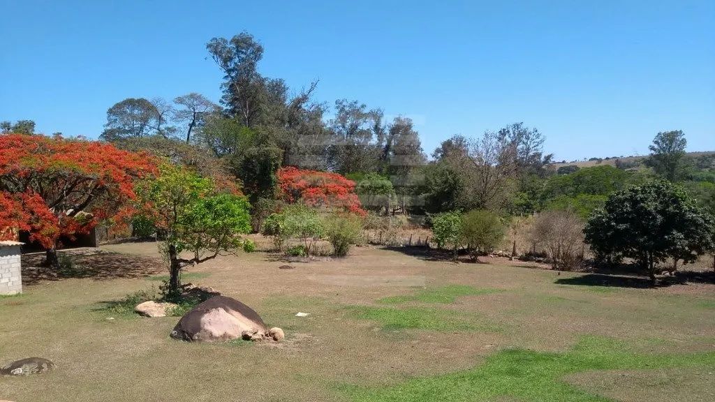 Sítio com 26 mil m2 no Jd Carlos Gomes - Campinas - Foto 5