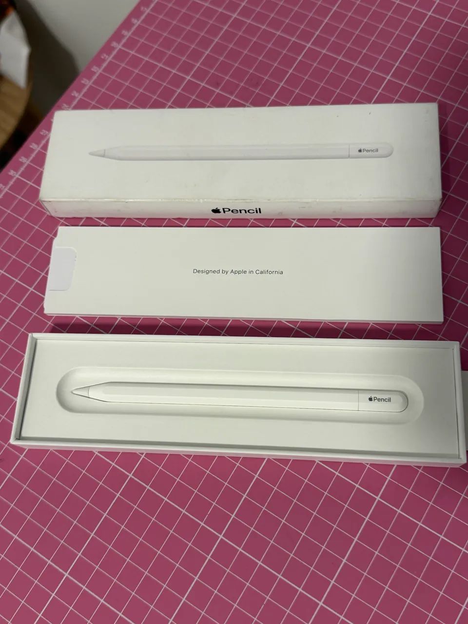 Caneta Apple Pencil USB-C