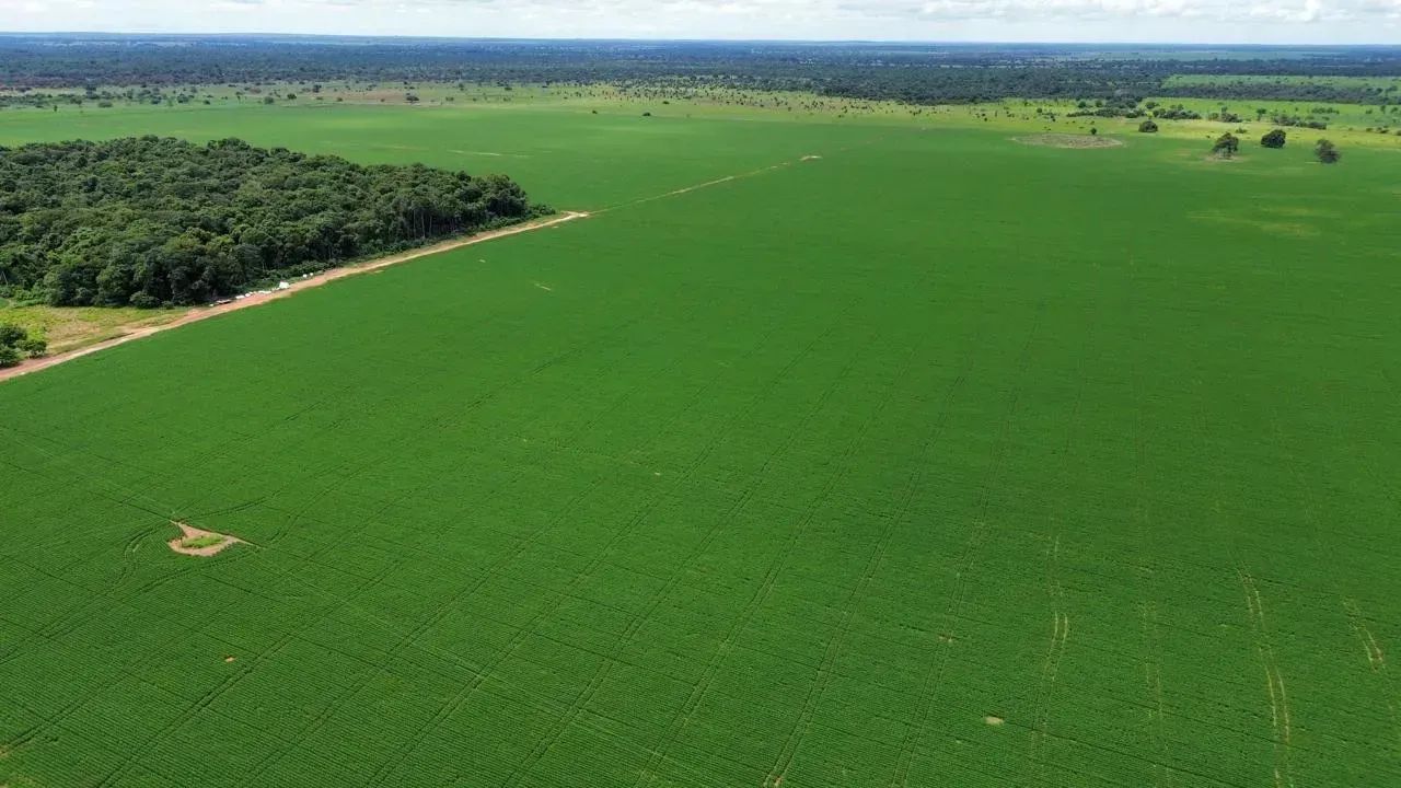 Fazenda a venda, em Nova Crixas - Goias!
