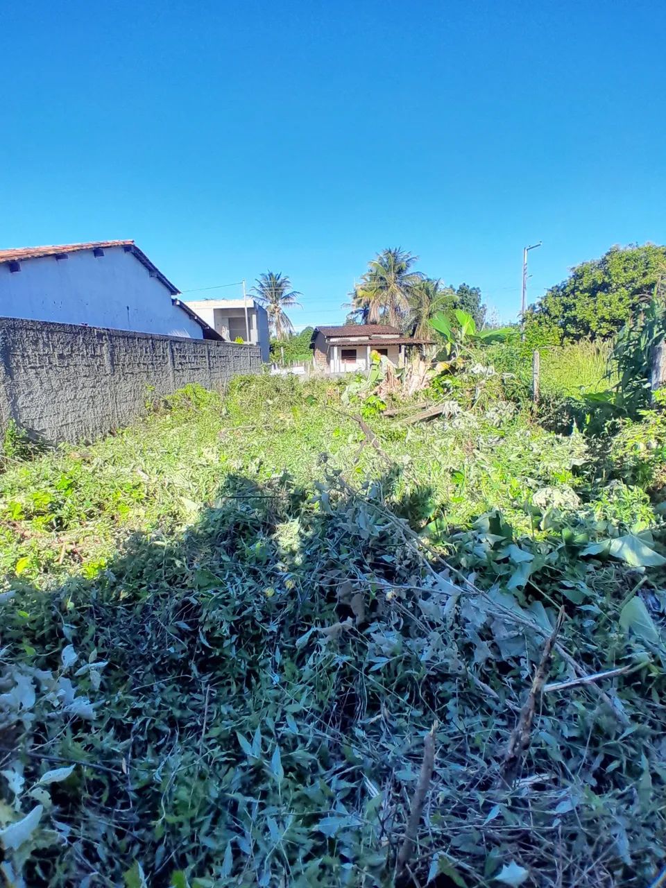 Perto de tudo  - Foto 2