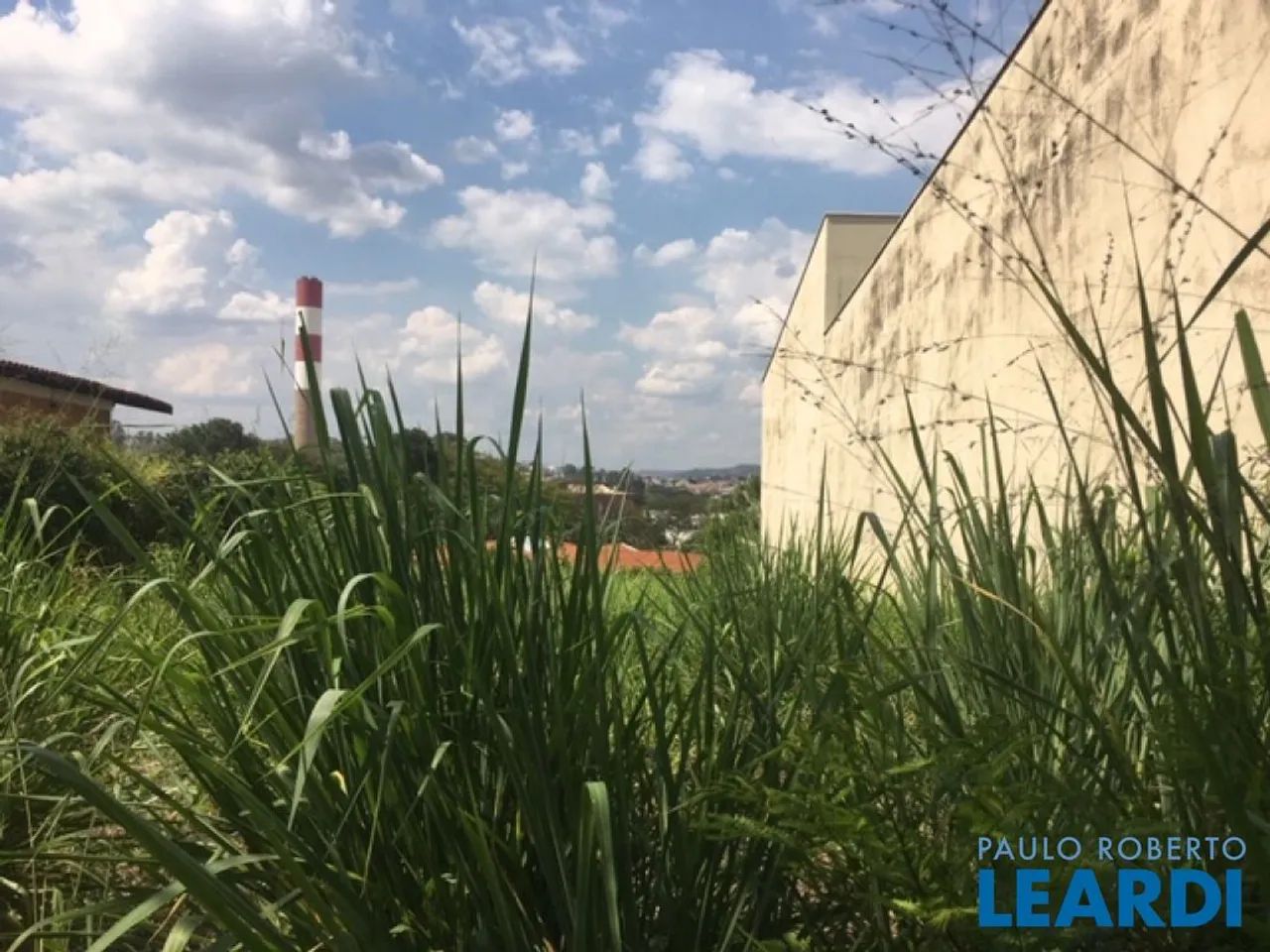 TERRENO - JARDIM RIBEIRO - SP - Foto 2