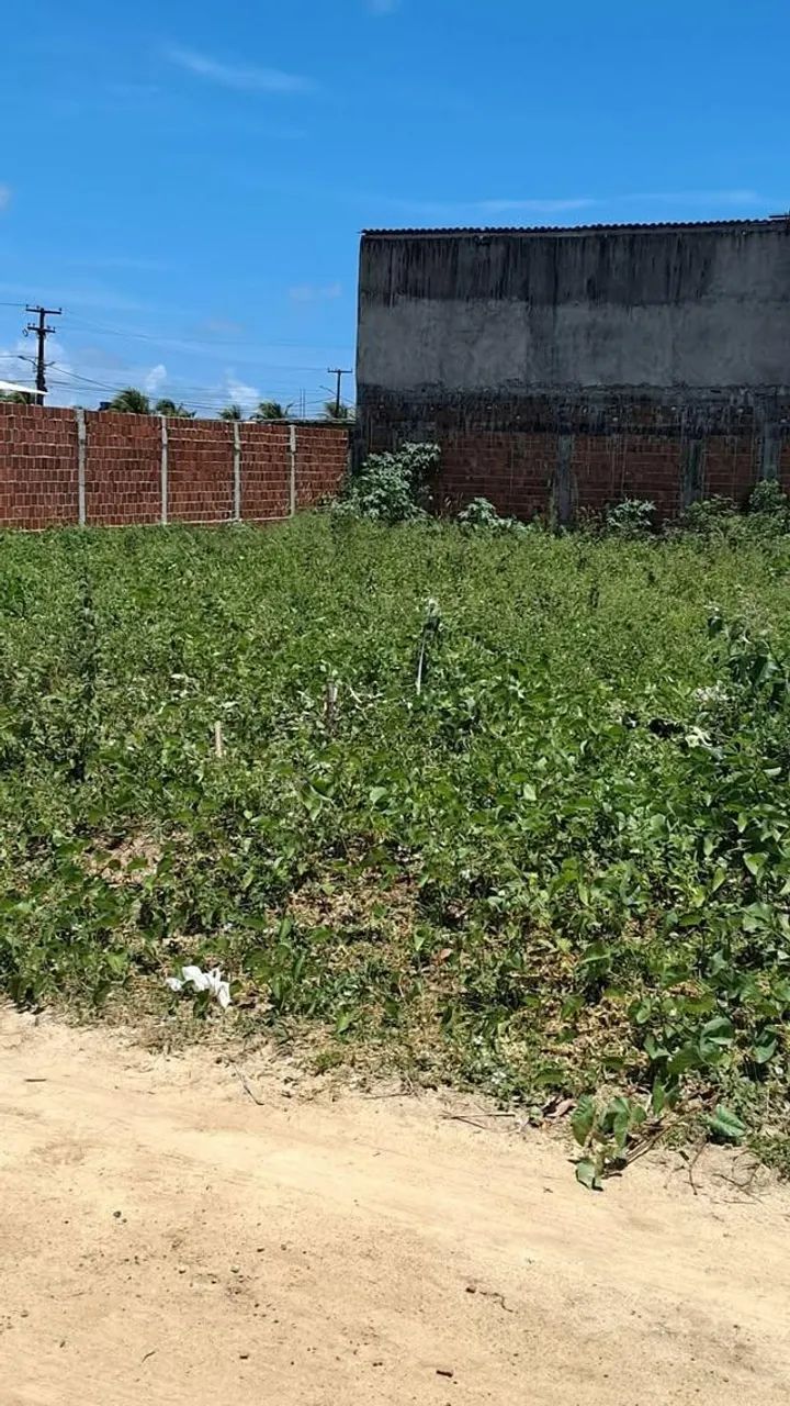 Terreno no Loteamento de Ponta de pedras - Foto 3