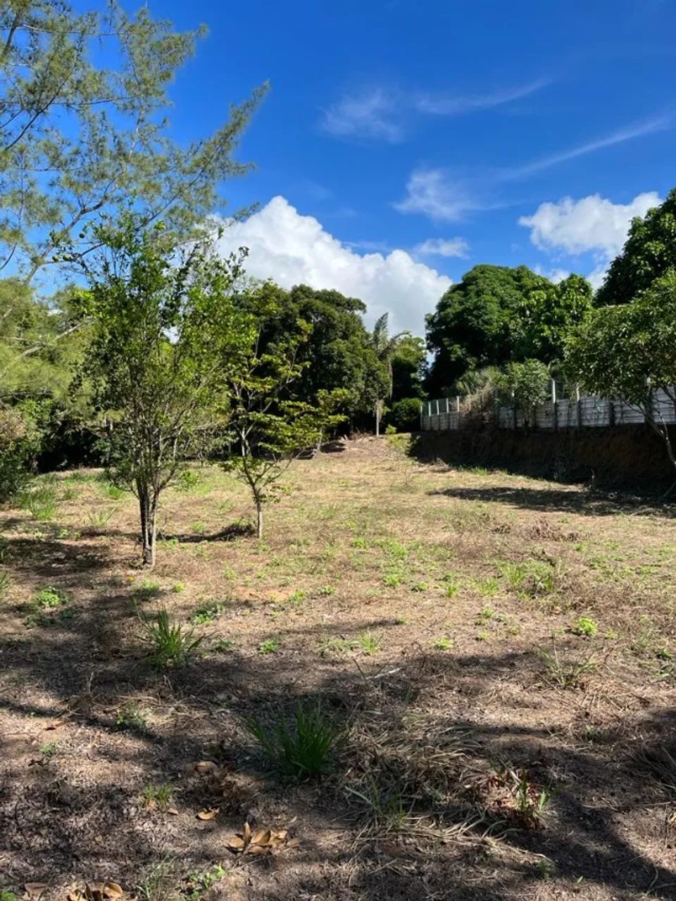 Terreno 11.000 m2  - Foto 5