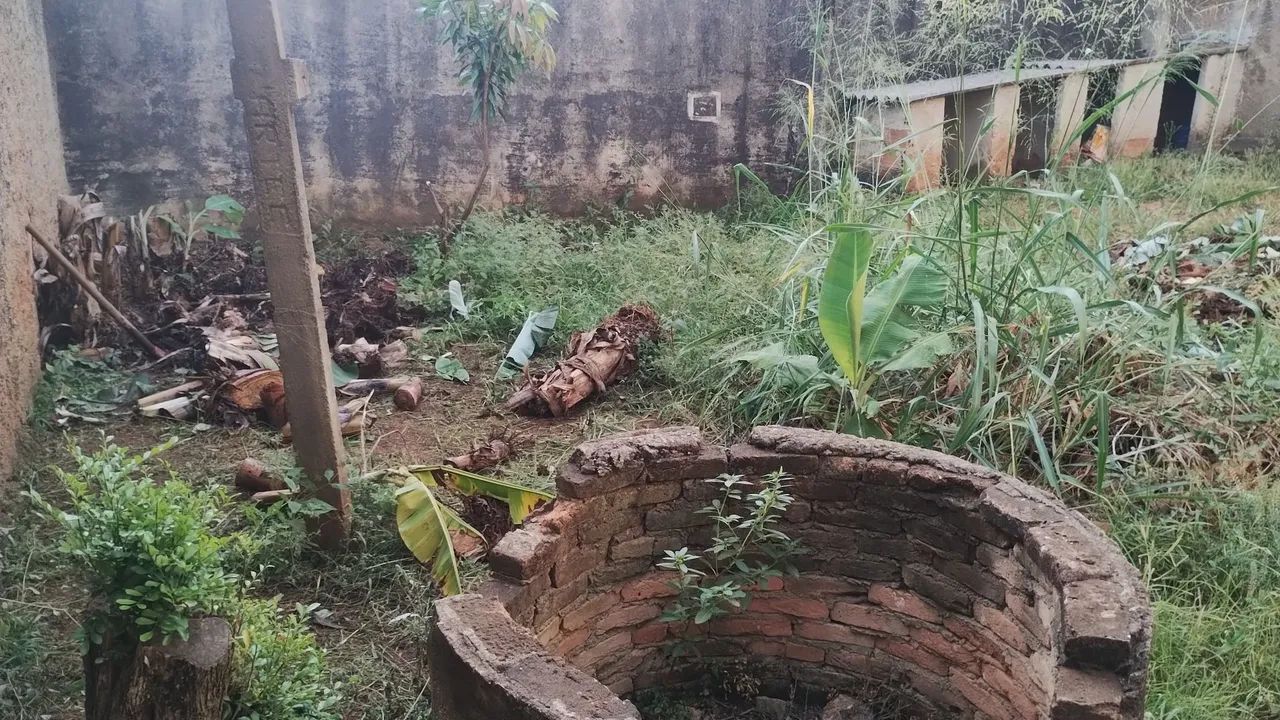 Limpeza de lotes  - Foto 3