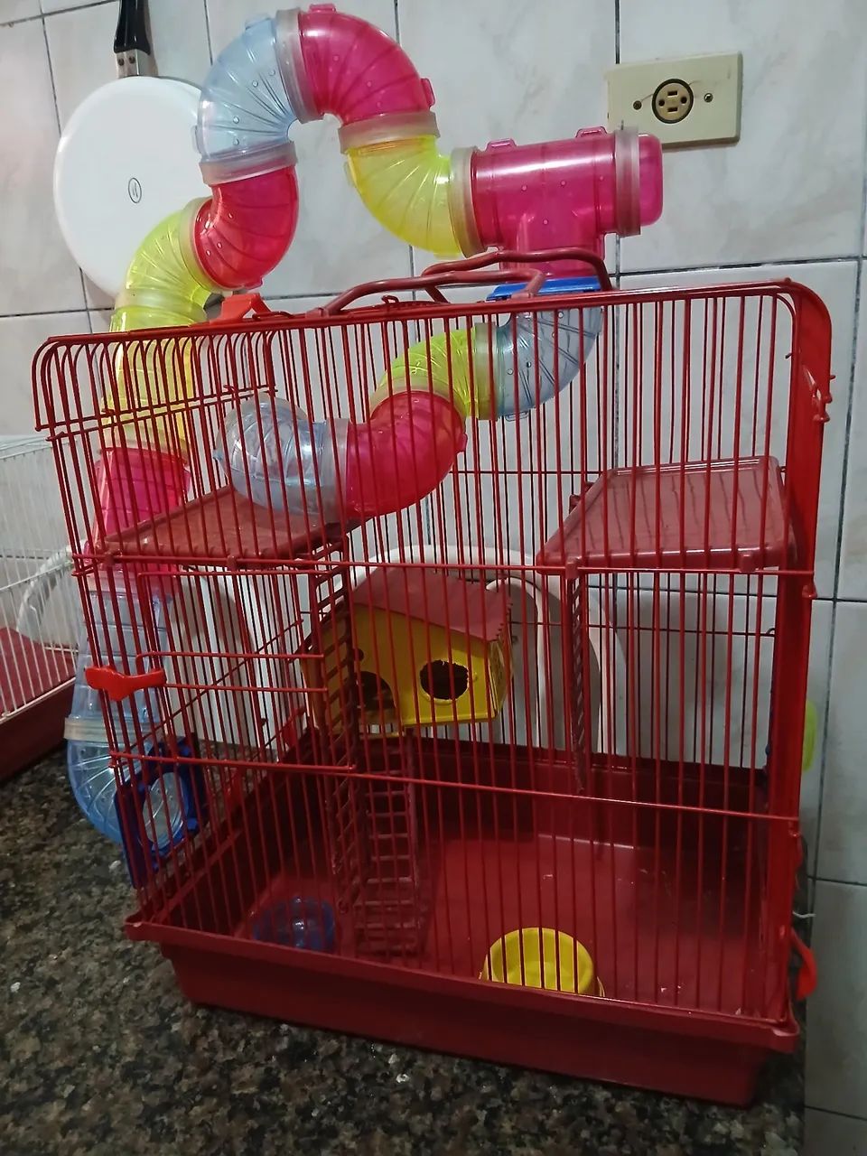 Gaiola para Hammister  - Foto 2