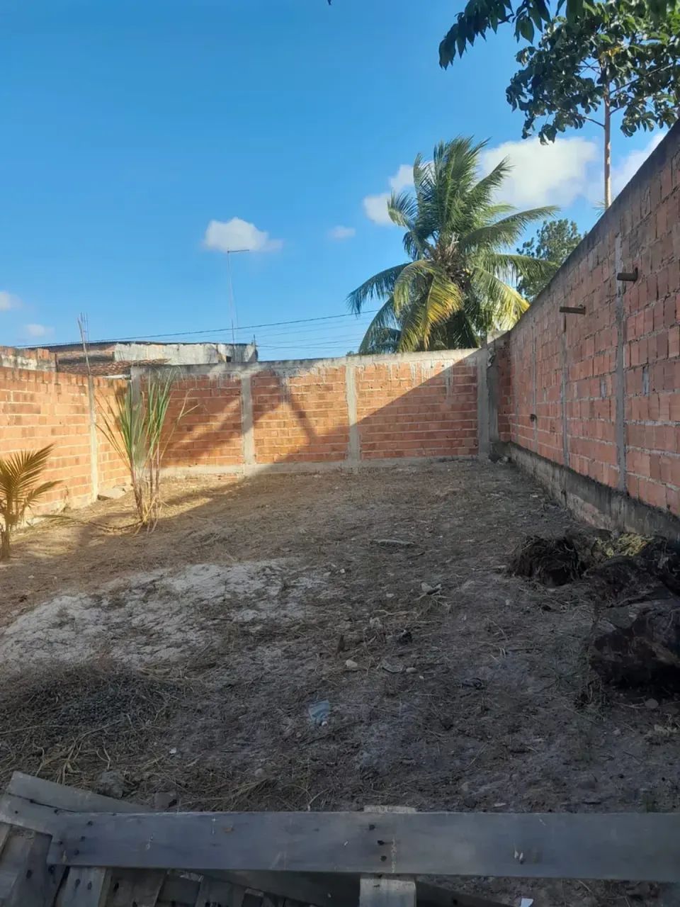 terreno no parque das palmeiras - Foto 3