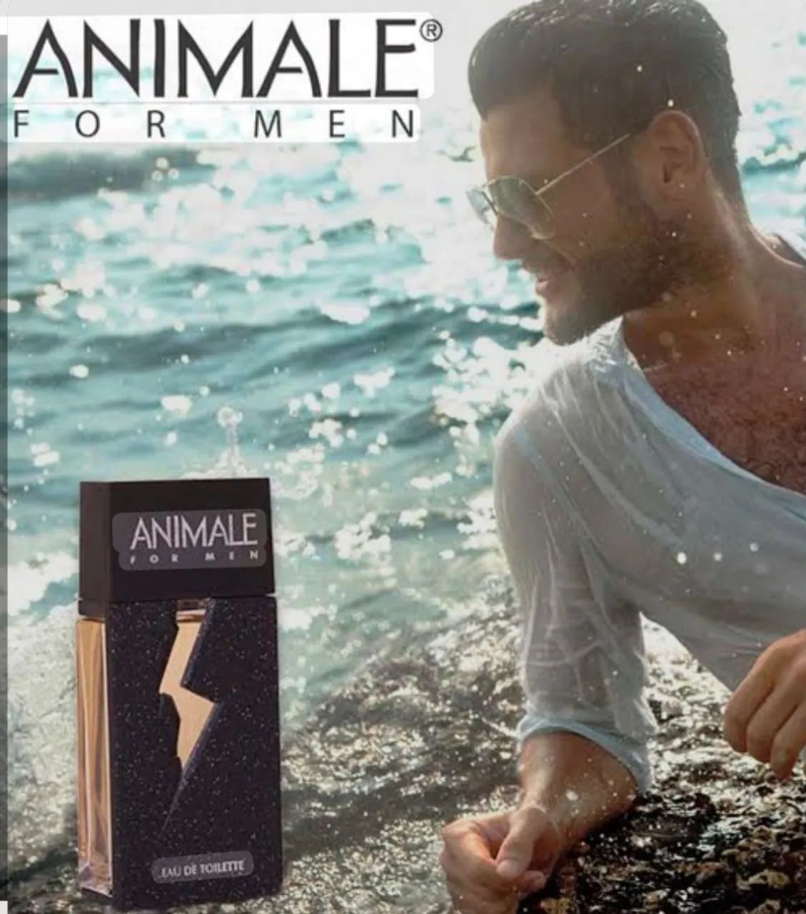 Perfume Animale For Men EDT 100ml - Foto 3