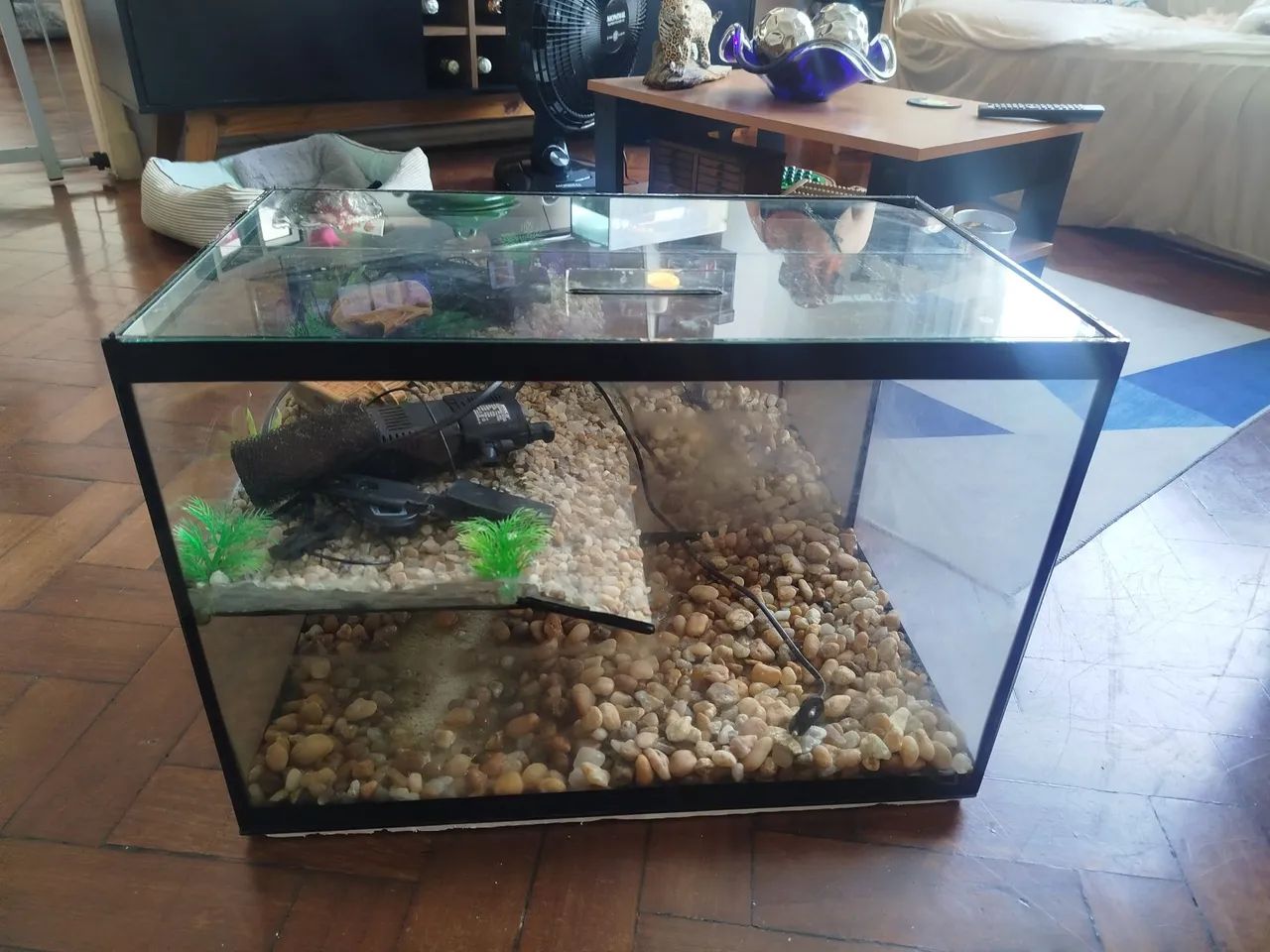 Vendo Aquário com Plantaforma  - Foto 5