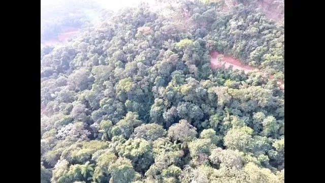 VENDO TERRENO PARA SUA CHACARA - Foto 4