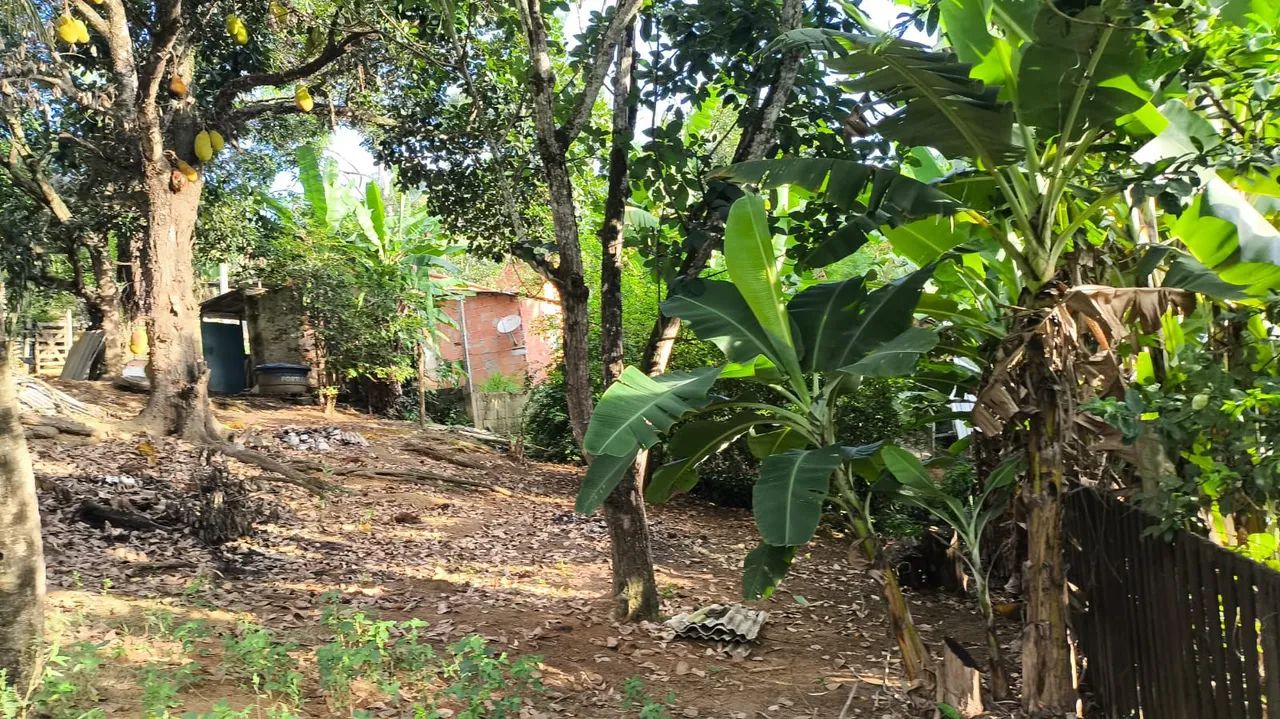 Vendo chácara em Belvedere 160 mil  - Foto 11