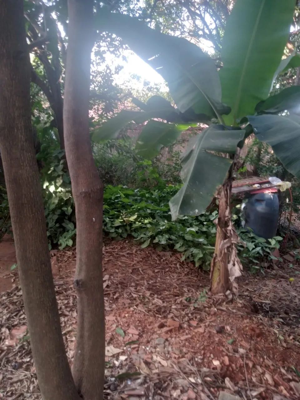 Terreno Barato Vila Popular  - Foto 4